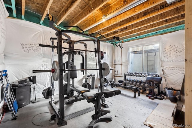 12264 Olive Way, Thornton, CO 80602 - view of exercise area