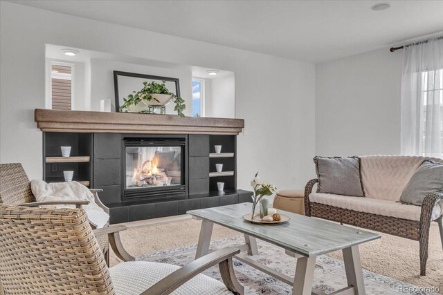 1385 Candleglow St, Castle Rock, CO 80109 - living room featuring a tiled fireplace