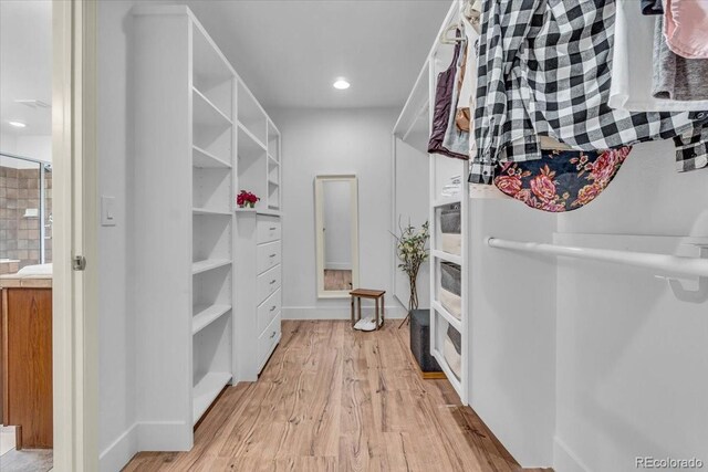 1385 Candleglow St, Castle Rock, CO 80109 - walk in closet featuring light wood-type flooring