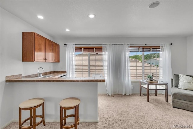 1385 Candleglow St, Castle Rock, CO 80109 - photo 20