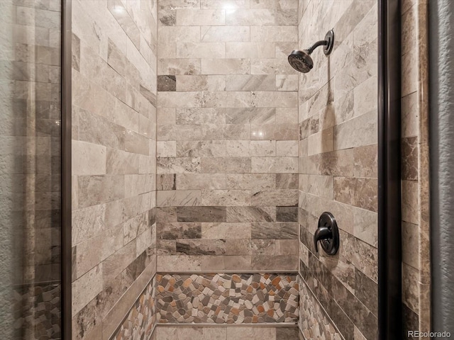 8425 Green Island Cir, Lone Tree, CO 80124 - photo 26