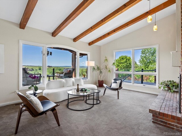 8387 N Sunburst Trl, Parker, CO 80134 - photo 31