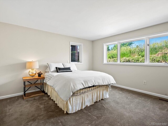 8387 N Sunburst Trl, Parker, CO 80134 - photo 37