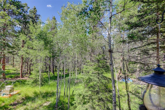 view of landscape featuring a forest view