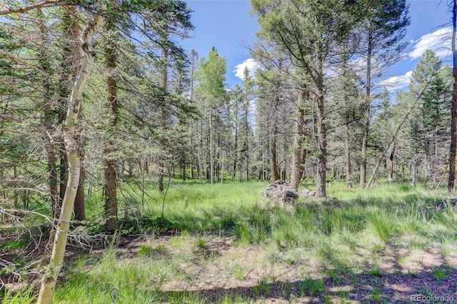 view of local wilderness with a forest view