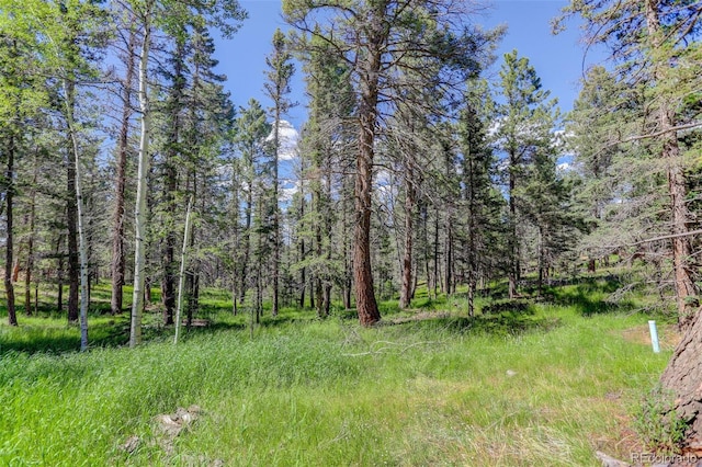 view of landscape featuring a view of trees