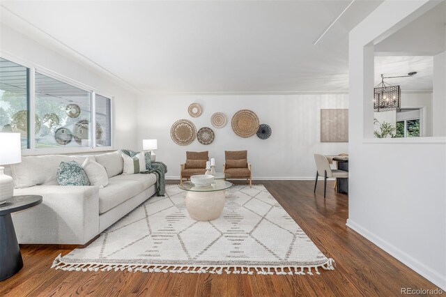 2644 S Krameria St, Denver, CO 80222 - living room featuring plenty of natural light, wood finished floors, and baseboards