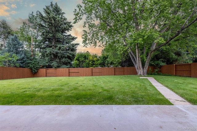 2644 S Krameria St, Denver, CO 80222 - view of yard