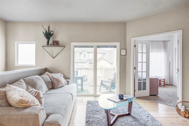 living room with plenty of natural light and wood-type flooring