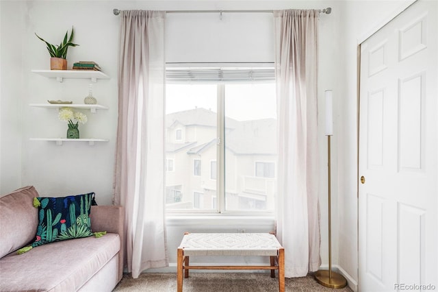 sitting room featuring carpet floors