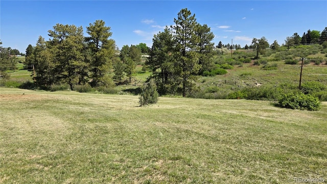 13671 Travois Trl, Parker, CO 80138 - photo 42