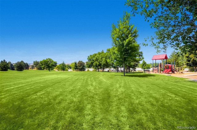 1183 S Pierson Ct, Denver, CO 80232 - view of green lawn