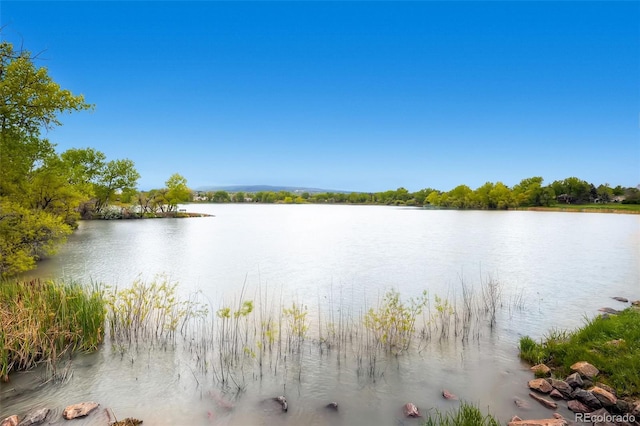 1183 S Pierson Ct, Denver, CO 80232 - water view