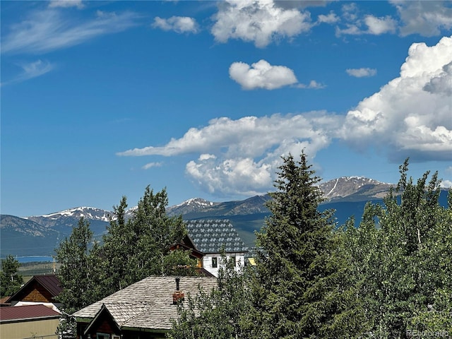 621 E 10th St, Leadville, CO 80461 - photo 30