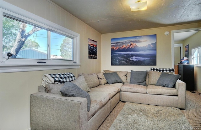 living room featuring carpet flooring