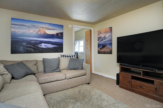 carpeted living room featuring a textured ceiling