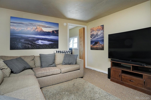 1320 H St, Salida, CO 81201 - carpeted living room featuring baseboards