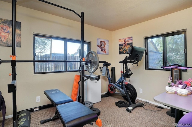 1320 H St, Salida, CO 81201 - exercise room with healthy amount of natural light and carpet flooring