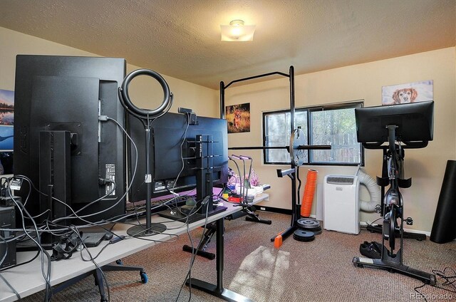 1320 H St, Salida, CO 81201 - workout room featuring a textured ceiling