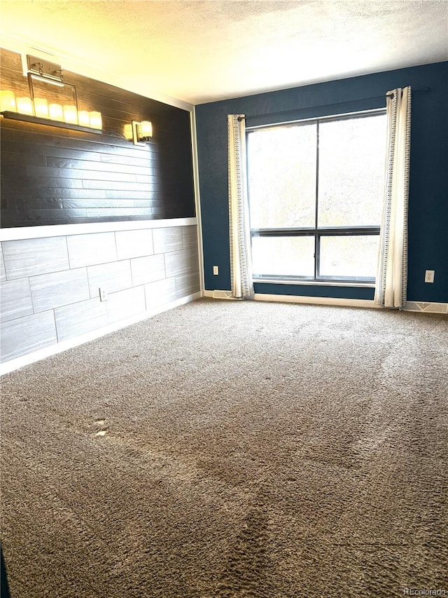 unfurnished room with wood walls, carpet, and a textured ceiling