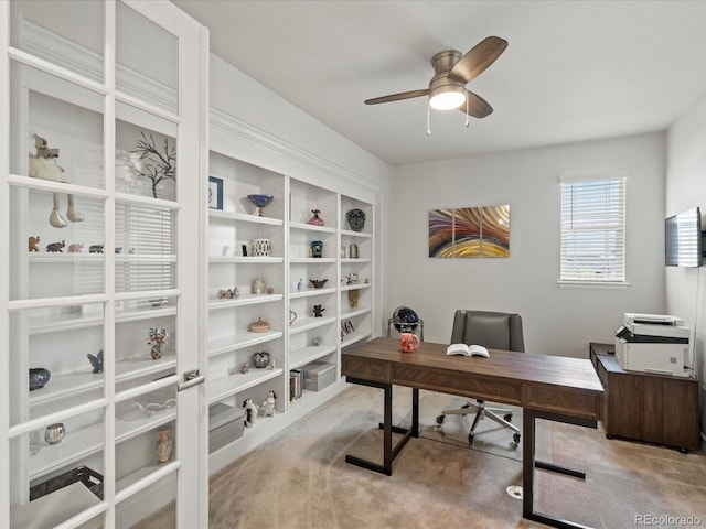 5158 Silver Hare Ln, Castle Rock, CO 80104 - photo 8