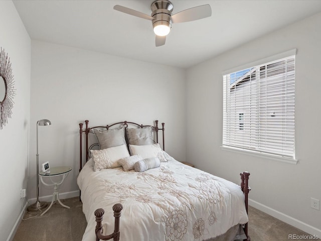 5158 Silver Hare Ln, Castle Rock, CO 80104 - photo 14