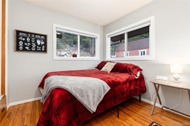 159 Lake Rd, Idaho Springs, CO 80452 - bedroom with wood finished floors and baseboards