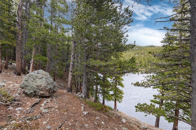 159 Lake Rd, Idaho Springs, CO 80452 - view of undeveloped land with a nearby body of water