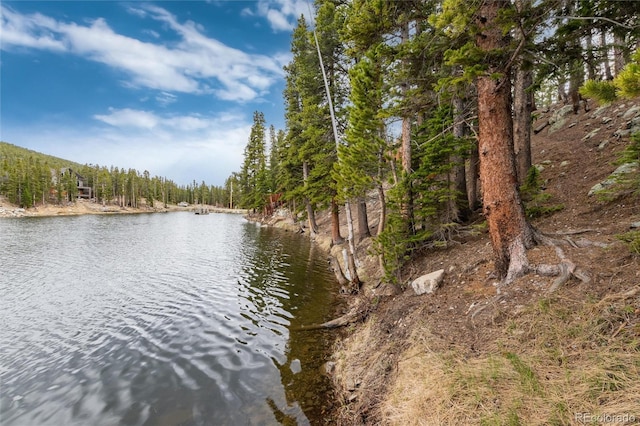 159 Lake Rd, Idaho Springs, CO 80452 - water view featuring a heavily wooded area