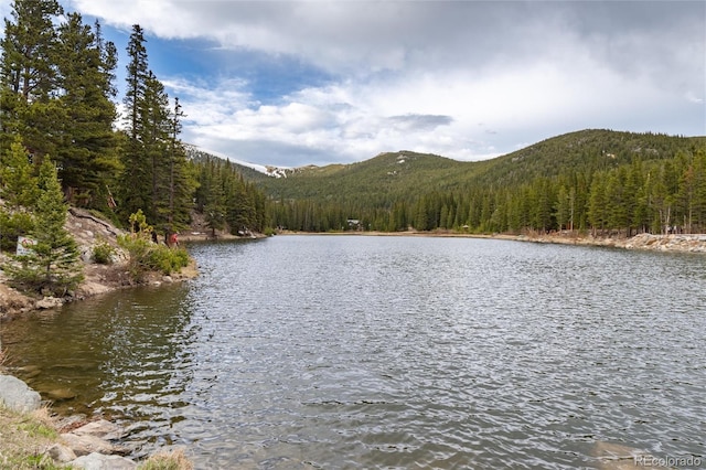 159 Lake Rd, Idaho Springs, CO 80452 - water view with a forest and a mountainous background