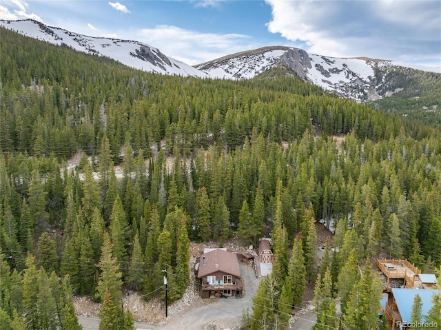 159 Lake Rd, Idaho Springs, CO 80452 - view of mountain backdrop featuring a forest
