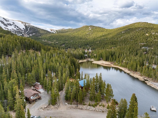 159 Lake Rd, Idaho Springs, CO 80452 - drone / aerial view of a forest and a water and mountain view