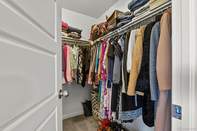 27893 E 6th Pl, Aurora, CO 80018 - spacious closet featuring carpet floors