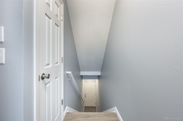 stairway featuring wood-type flooring