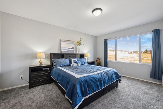 10649 Mt Emerald Dr, Peyton, CO 80831 - bedroom featuring carpet flooring and baseboards