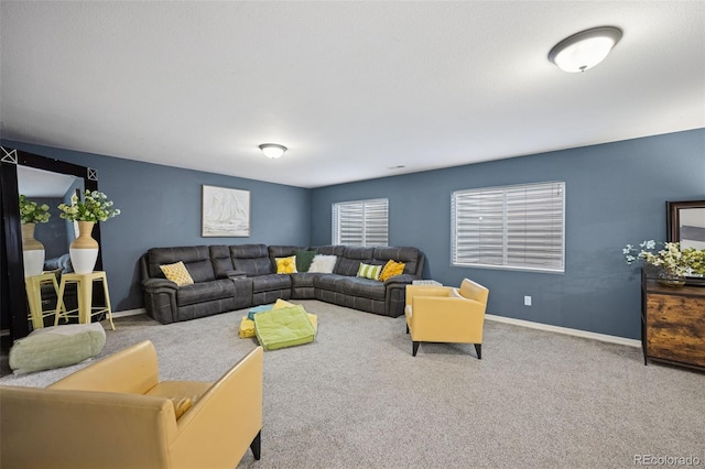 10649 Mt Emerald Dr, Peyton, CO 80831 - carpeted living area with baseboards