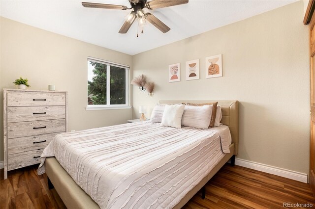 3856 S Gibralter St, Aurora, CO 80013 - photo 34