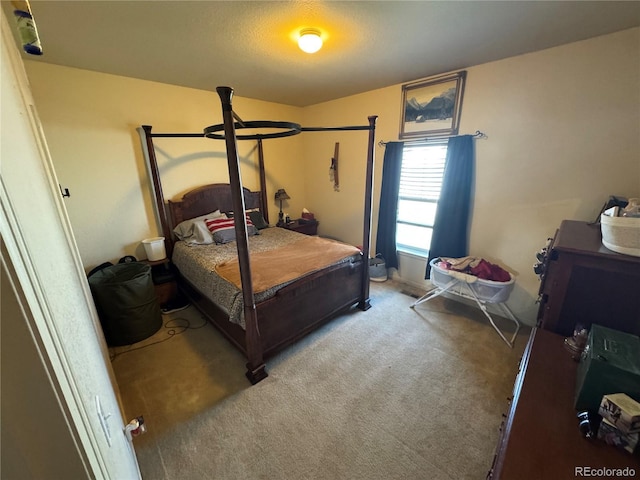 2874 Rose Hill St, Strasburg, CO 80136 - bedroom featuring carpet