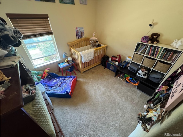 2874 Rose Hill St, Strasburg, CO 80136 - view of carpeted bedroom