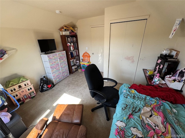 2874 Rose Hill St, Strasburg, CO 80136 - carpeted bedroom with a closet and vaulted ceiling
