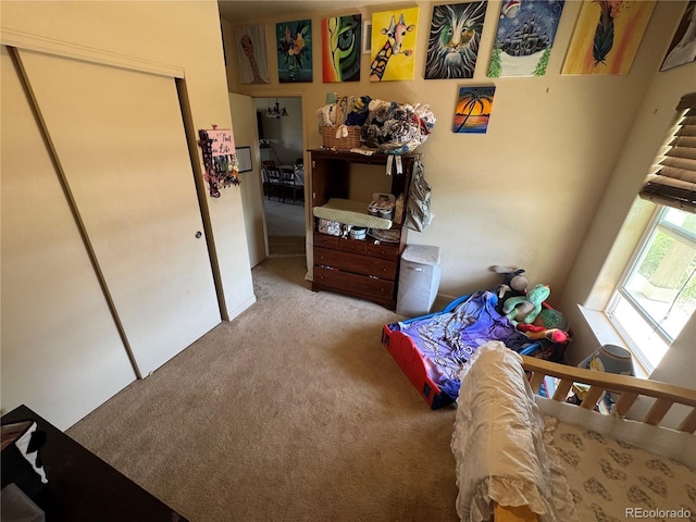 2874 Rose Hill St, Strasburg, CO 80136 - bedroom with carpet flooring and a closet