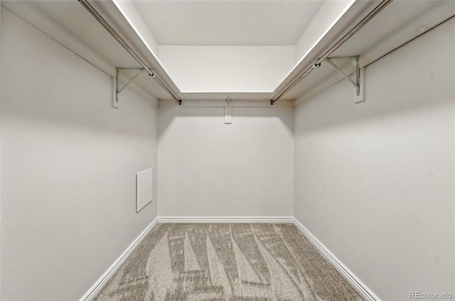 3141 S Tamarac Dr Unit 301E, Denver, CO 80231 - photo 31