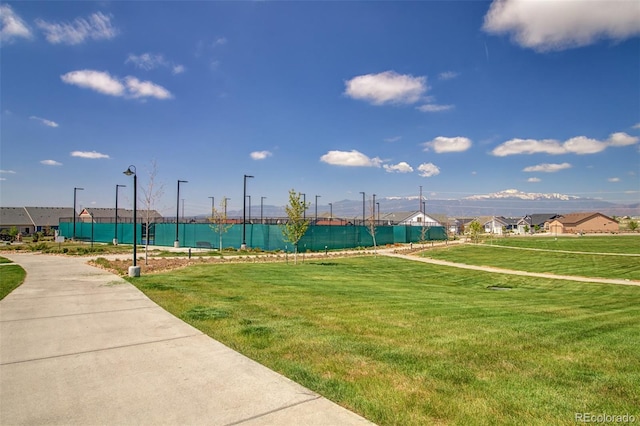 6374 Syre Pt, Colorado Springs, CO 80927 - photo 37