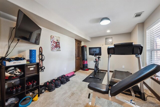 14953 Akron Ct, Brighton, CO 80602 - exercise area featuring carpet flooring
