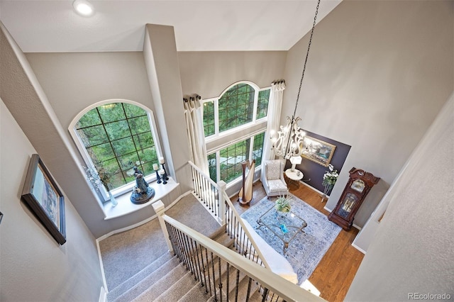 632 Country Club Ln, Castle Rock, CO 80108 - photo 30