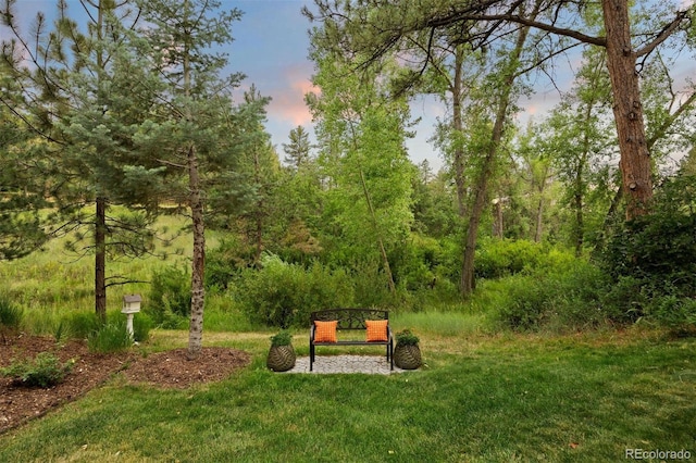 632 Country Club Ln, Castle Rock, CO 80108 - photo 46