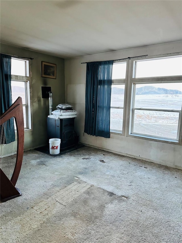 interior space featuring a wood stove and carpet