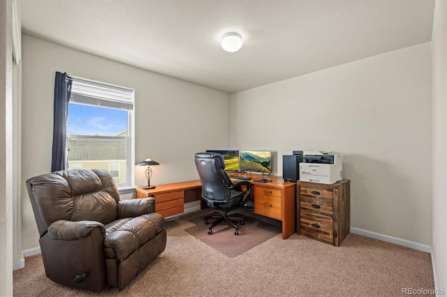 office space featuring carpet floors