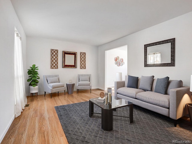 living room with wood-type flooring