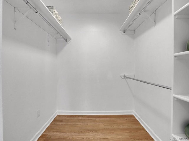 spacious closet with hardwood / wood-style floors